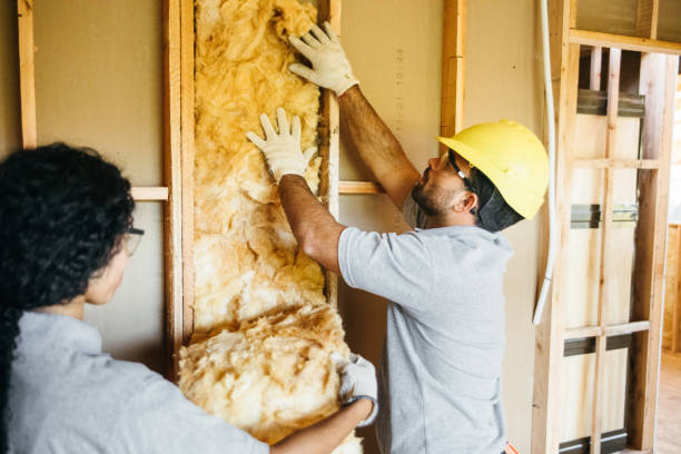 Professional Insulation in Sanger, TX